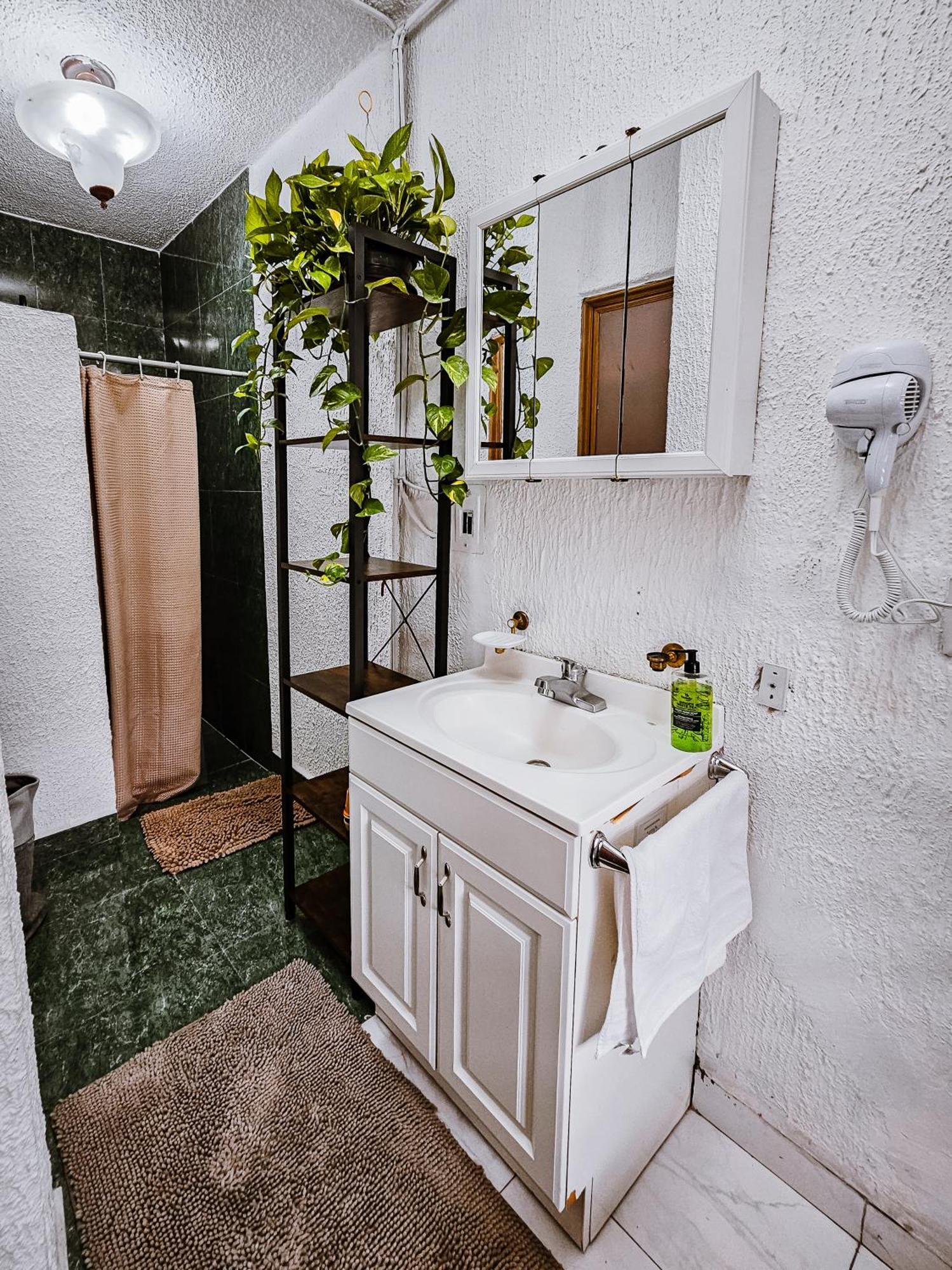 Habitacion Con Bano Privado B, Centro De Coyoacan Mexico Chambre photo